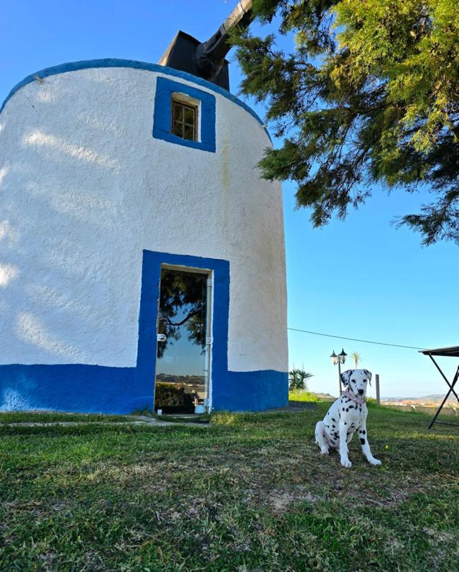 Villa Casal Do Moinho Enxara do Bispo Exterior foto